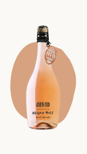 Sparkling Negra Mole Rosé 2022