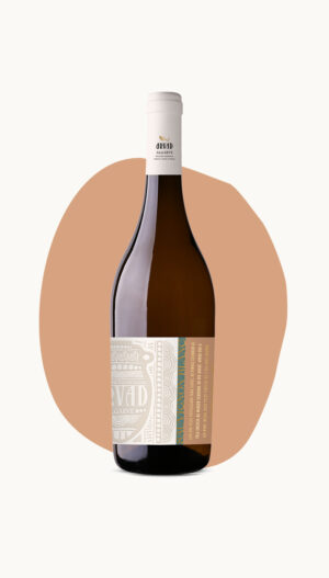 White Sauvignon Blanc 2024